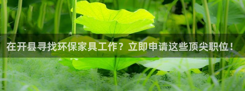 杏耀总代理