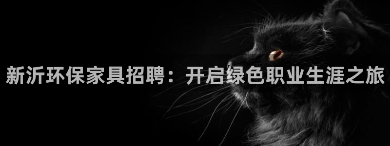 杏耀代理主管qq