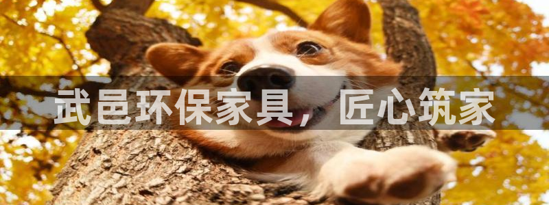 杏耀平台指定