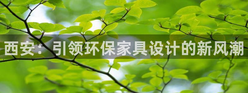 杏耀代理官网