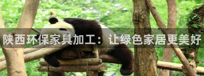 杏耀平台还在吗