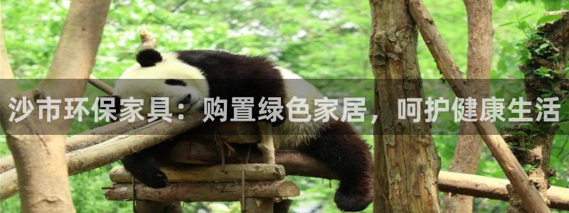 杏耀平台到底能玩吗