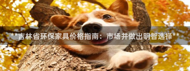 杏耀平台几年了：**吉林省环保家具价格指南：市场并做出明智选