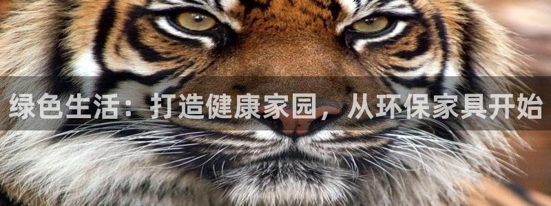 杏耀官方娱乐