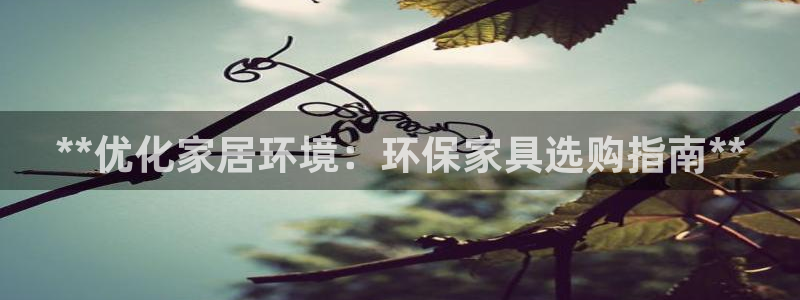 杏耀总代