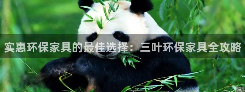杏耀平台主管：实惠环保家具的最佳选择：三叶环保家具全攻略
