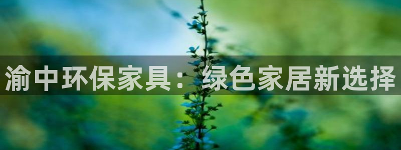 杏耀代理1980