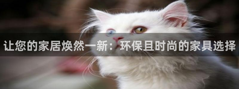 杏耀平台分红：让您的家居焕然一新：环保且时尚的家具选择