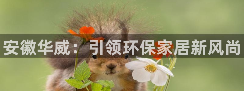 杏耀平台官网登录
