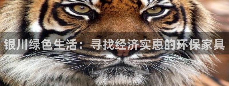 杏耀平台登录检测：银川绿色生活：寻找经济实惠的环保家具