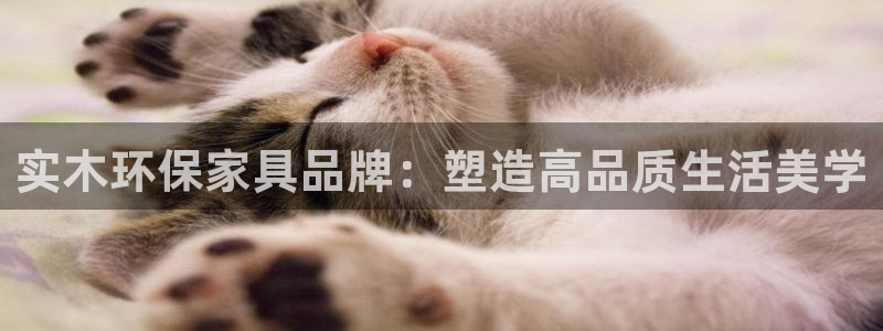 杏耀平台线路测速：实木环保家具品牌：塑造高品质生活美学