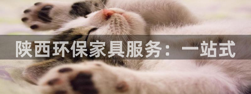 杏耀测速登录地址：陕西环保家具服务：一站式