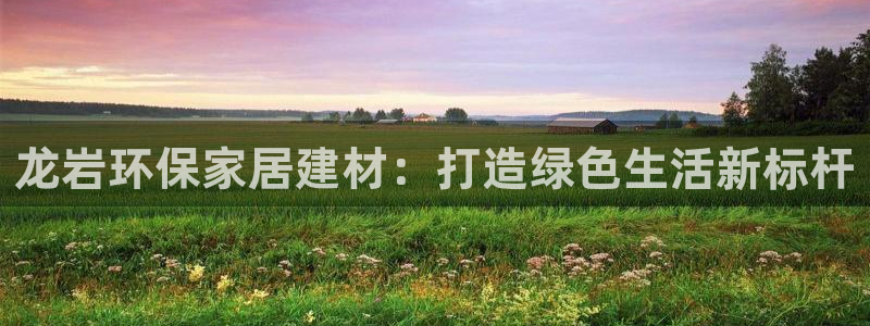 杏耀平台地址：龙岩环保家居建材：打造绿色生活新标杆