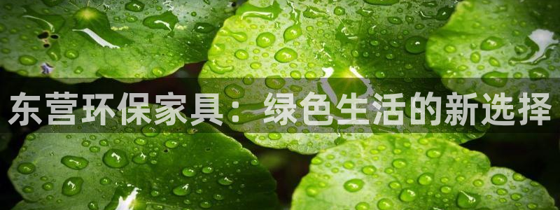 杏耀注册网址：东营环保家具：绿色生活的新选择