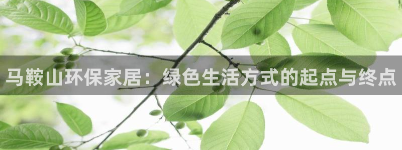 杏耀平台服务中心是干嘛的：马鞍山环保家居：绿色生活方式的起点