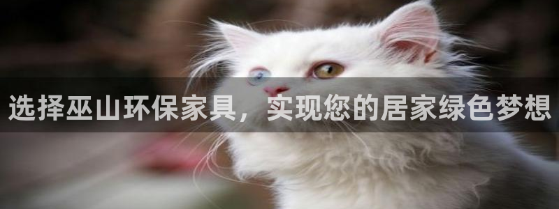 杏耀平台登陆官网