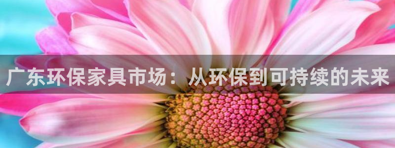 杏耀注册线路：广东环保家具市场：从环保到可持续的未来