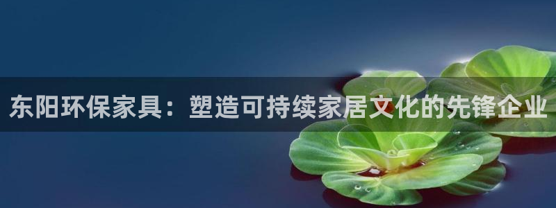 杏耀平台线路：东阳环保家具：塑造可持续家居文化的先锋企业
