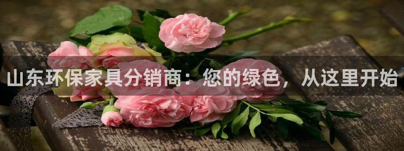 杏耀平台注册代理：山东环保家具分销商：您的绿色，从这里开始