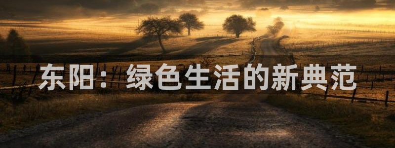 杏耀是什么平台：东阳：绿色生活的新典范