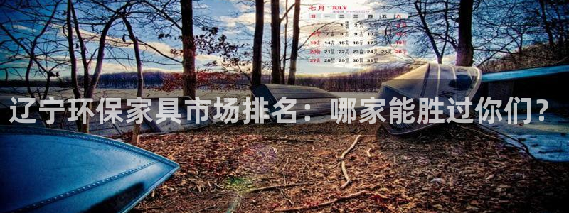 杏耀平台登录网址：辽宁环保家具市场排名：哪家能胜过你们？