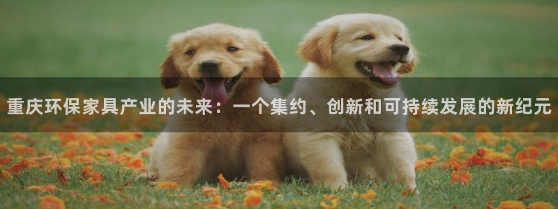杏耀平台登录地址：重庆环保家具产业的未来：一个集约、创新和可