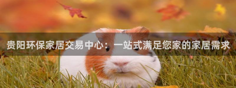 杏耀官方娱乐：贵阳环保家居交易中心：一站式满足您家的家居需求