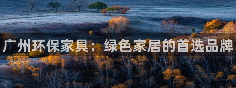 杏耀平台登录：广州环保家具：绿色家居的首选品牌
