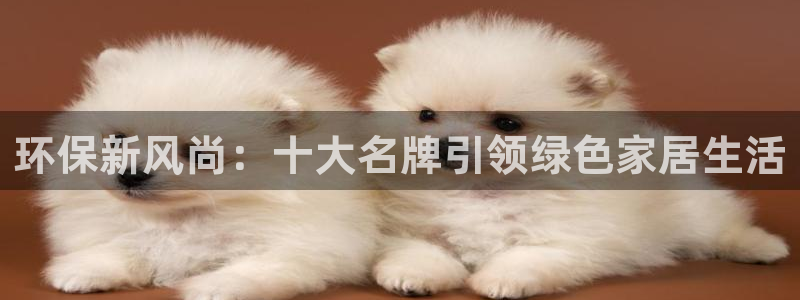 杏耀平台客服：环保新风尚：十大名牌引领绿色家居生活
