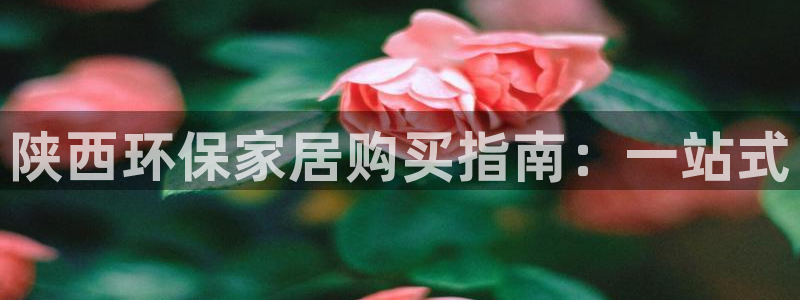 杏耀平台注册问一问：陕西环保家居购买指南：一站式