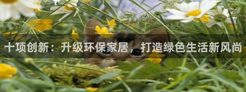 杏耀登陆线路：十项创新：升级环保家居，打造绿色生活新风尚