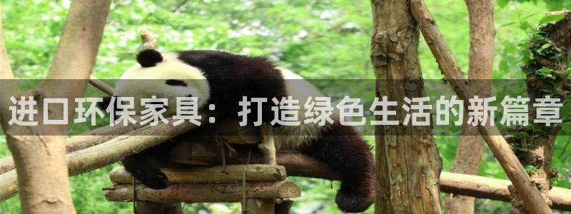 杏耀登陆网站：进口环保家具：打造绿色生活的新篇章