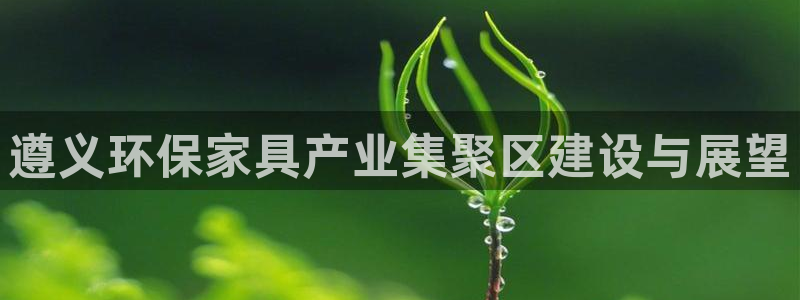 杏耀平台线路测速：遵义环保家具产业集聚区建设与展望
