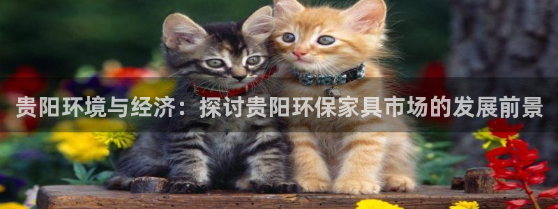 杏耀官网游戏：贵阳环境与经济：探讨贵阳环保家具市场的发展前景