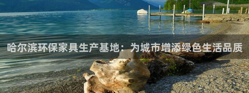 杏耀手机网页登录入口：哈尔滨环保家具生产基地：为城市增添绿色
