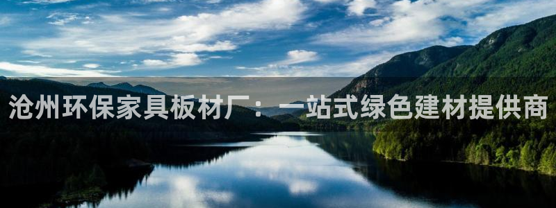 杏耀平台还在吗：沧州环保家具板材厂：一站式绿色建材提供商