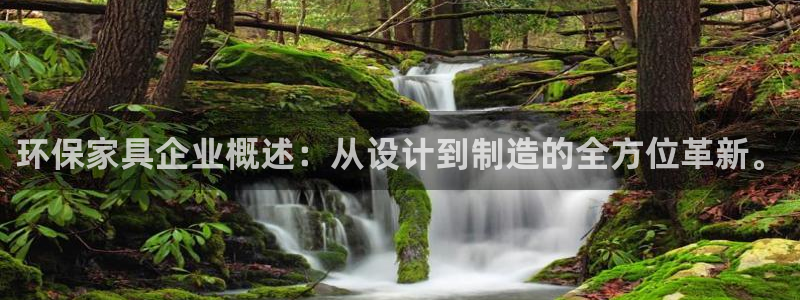 杏耀平台官网下载：环保家具企业概述：从设计到制造的全方位革新