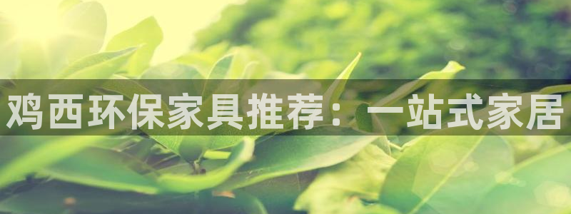 杏耀平台到底能玩吗：鸡西环保家具推荐：一站式家居