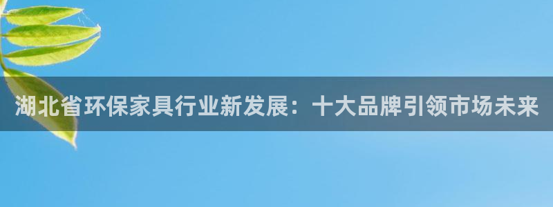 杏耀官网网站中心：湖北省环保家具行业新发展：十大品牌引领市场
