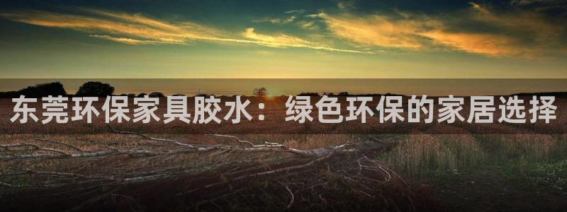 杏耀代理注册开户